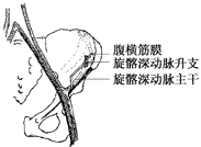 ��������Ѫ�ܵ��Ĺ���ȡ�����ĸĽ�