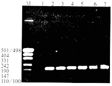 һ�����ͳ����Բ����Ը��׵��ٴ����в�ѧ������ѧ�ĳ����о�