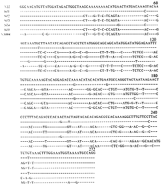 һ���µĿɾ���Ѫ��������(TTV)�ķ������в�ѧ�о�