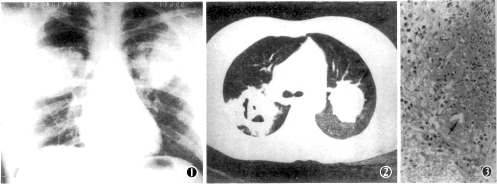 ��ëù����������������