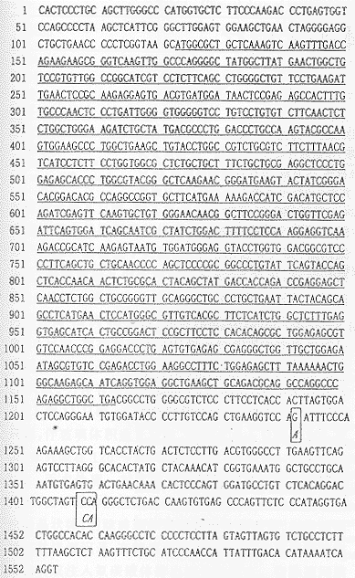 ��������Ĥ�������ԣ���Ĥ��Ե���׻���Ŀ�¡