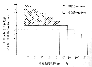 ��Ѫ����ֽƬ��������ȱ�ݲ���1��ǰ��������ļ��