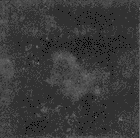 �ҹ����ڵ�������ڲ����߳�������71�͵ķ��������