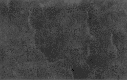 ���͸��ײ������Ŀ�ԭC33�Ĳⶨ