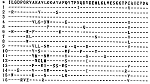 �й���½���͸��ײ���NS�����ֻ������з���������ĳ����о�