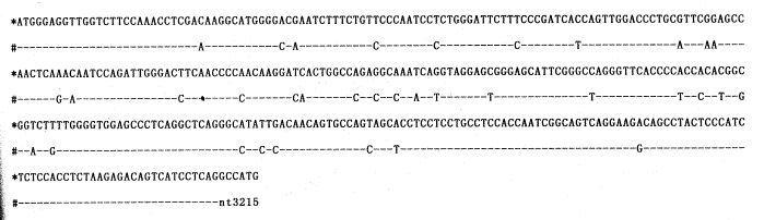 ����Ѫ������ϸ�������͸��ײ���ǰS/S���������о�