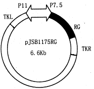 170.gif (2825 bytes)