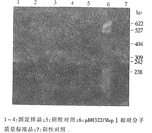 �þۺ�ø����Ӧ���᳦������ͷ״����������