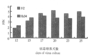 ��ԭλø�����������������͸��ײ���