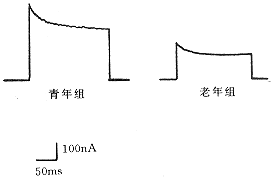 ���������Ϻ˼�����ͨ����צ���ĸϸ���еı���