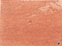 ��47�������