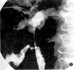 ������֧���������˶��Ե��������е�Ӧ��