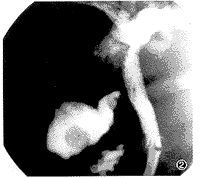 ������֧���������˶��Ե��������е�Ӧ��