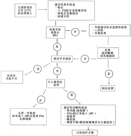 ���Ľ����BPH��ѯίԱ���Ƽ����(1998)