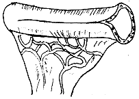 ������ѹ�ɿ��Իس���������