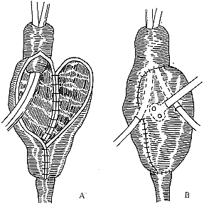 ����Maryland�س���������(��18������)