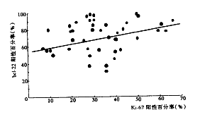 Ki-67��bcl-2���������������֯�еı��Ｐ������