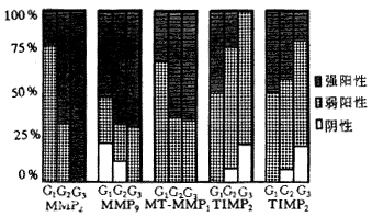 MMP<sub>2</sub>��MMP<sub>9</sub>�ڰ��װ��еı��Ｐ����Ϯת���е�����