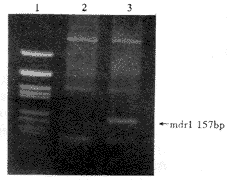 ת���򷽷�������ҩ��ҩϸ��ϵ