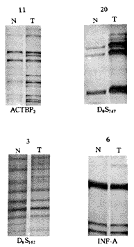 ��������ϸ������΢���ǲ��ȶ����о�