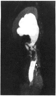 �Ź�����·�������������������е�Ӧ�ü�ֵ