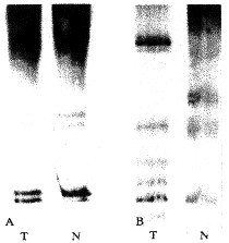 ��ϸ������΢���ǲ��ȶ����о�