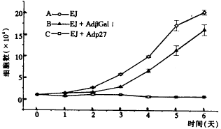 Adp27<sup>KIP1</sup>����Ĺ��ȱ�����˰��װ�ϸ��ϵEJ����������