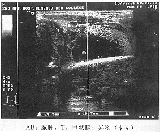 B������ʺ��ŧ��2��