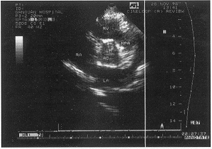 ����������ճҺ��������������1��