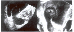 ��������׵���ά�����Ͳ�ɫ���������