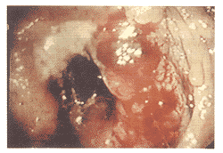 ���ܳ�������۽���������ֱ������Ч�۲�