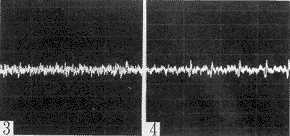 ΢�缫����ͬ��˫�ู��԰����������������ɭ��