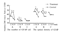 ��̼����ƶ��Թ������˶����ܼ����ν���ϸ�����Ե�Ӱ��