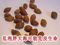 ���ִ���Ҫ������//