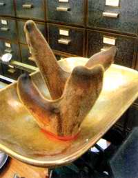 ��ζ����������������/��������ζ��ǿ��/ʮȫ����/���¹���ڼ���/���Ͻ�����/¹�ס�������֮Դ//¹�ס�������֮Դ//