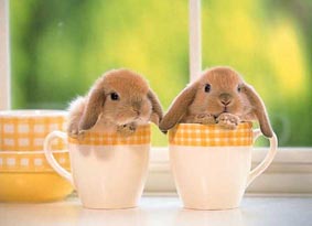 ����������ϴ�˰��ϵĲ���//