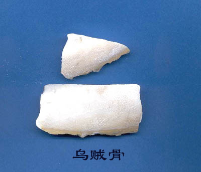 ������(�����)