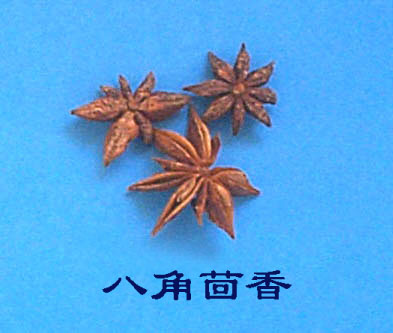 �˽�����