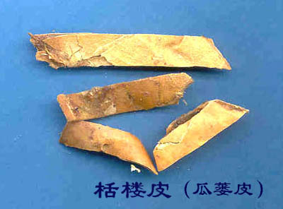 ��¥Ƥ(����Ƥ)