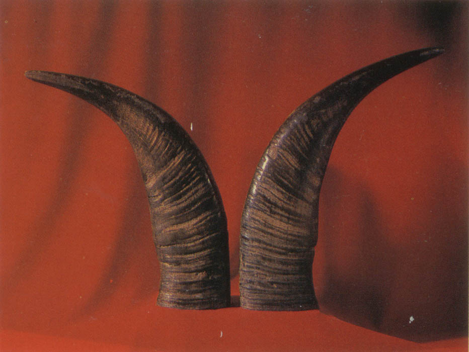 ţ��������