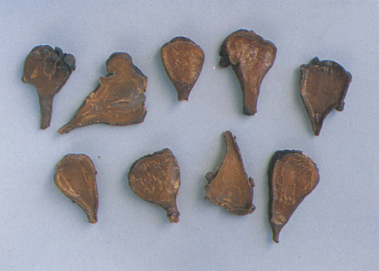 ����  f�� l��ng