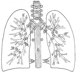 �ΰ�����ƣ�