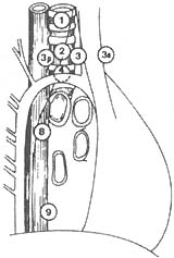 �ΰ�����ƣ�