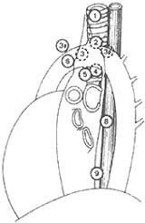 �ΰ�����ƣ�