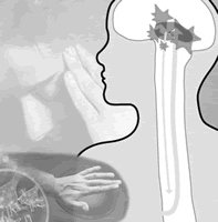 �񾭲�������ʹ������