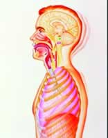 �������Կ��ԵĲ������������