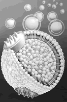 LDL-C:�����ٵͶ���Ϊ��?