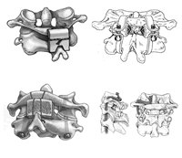 ���ؽں�·�ں�����ʽ��չ