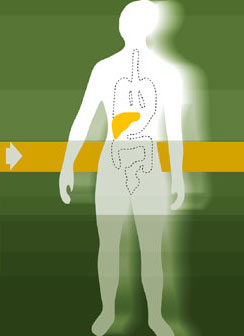 ֬�������������й���