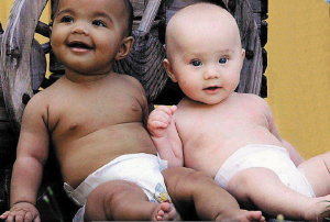 ��Ѫ�������ڰ�˫��̥��ͼ��